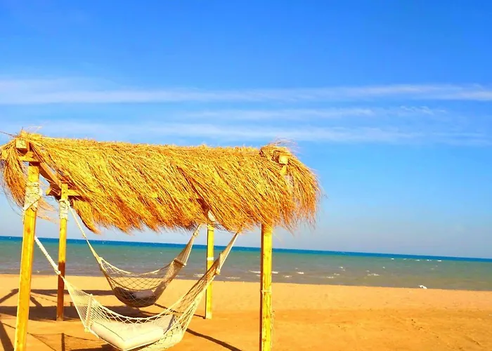 Mangarove M3 1c 11 Hurghada